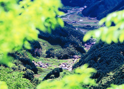 しみず両河内